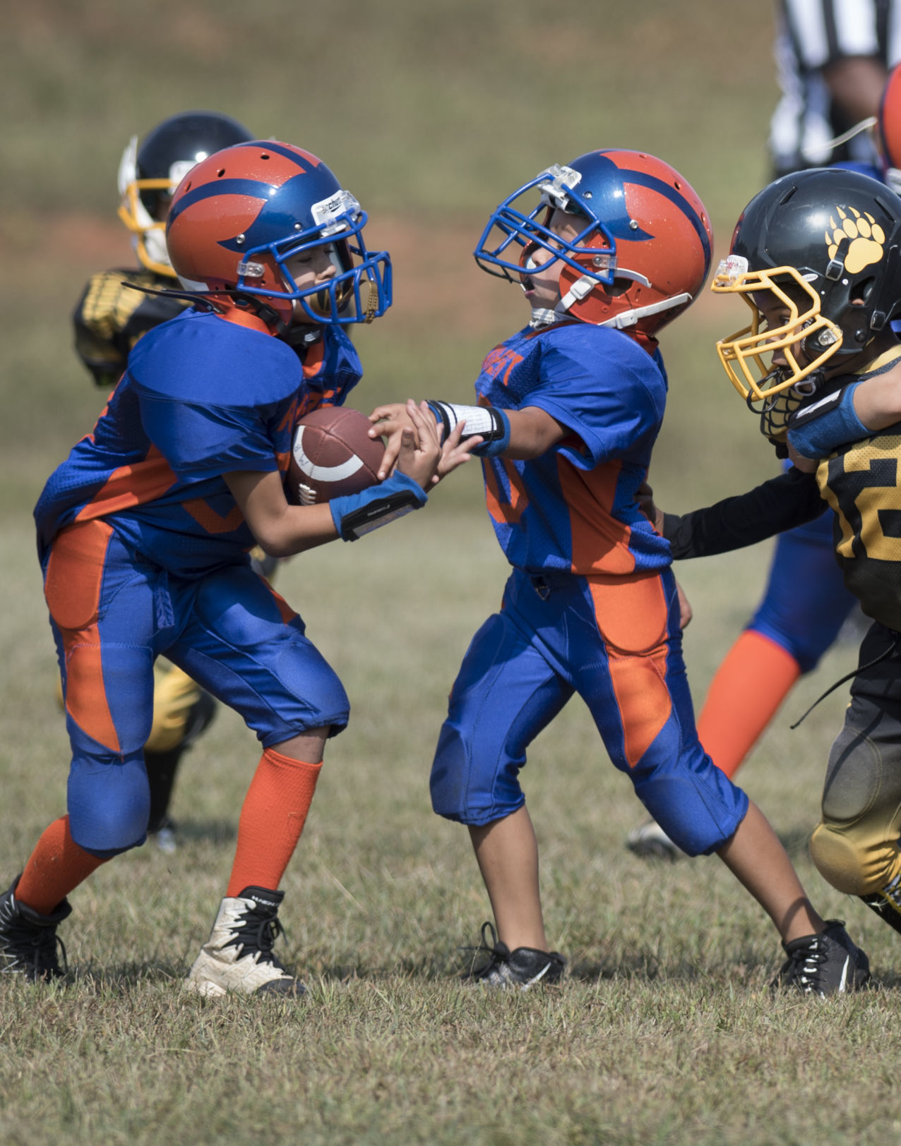Amherst youth football